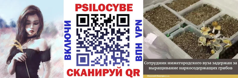 купить закладку  Макарьев  сайты даркнета как зайти  Псилоцибиновые грибы Psilocybe 